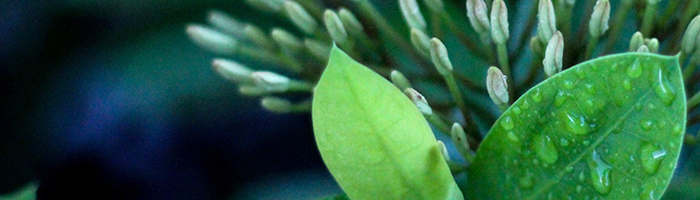 四條畷 美容院 美容室 ヘアメイク リースト Re-st.の紹介